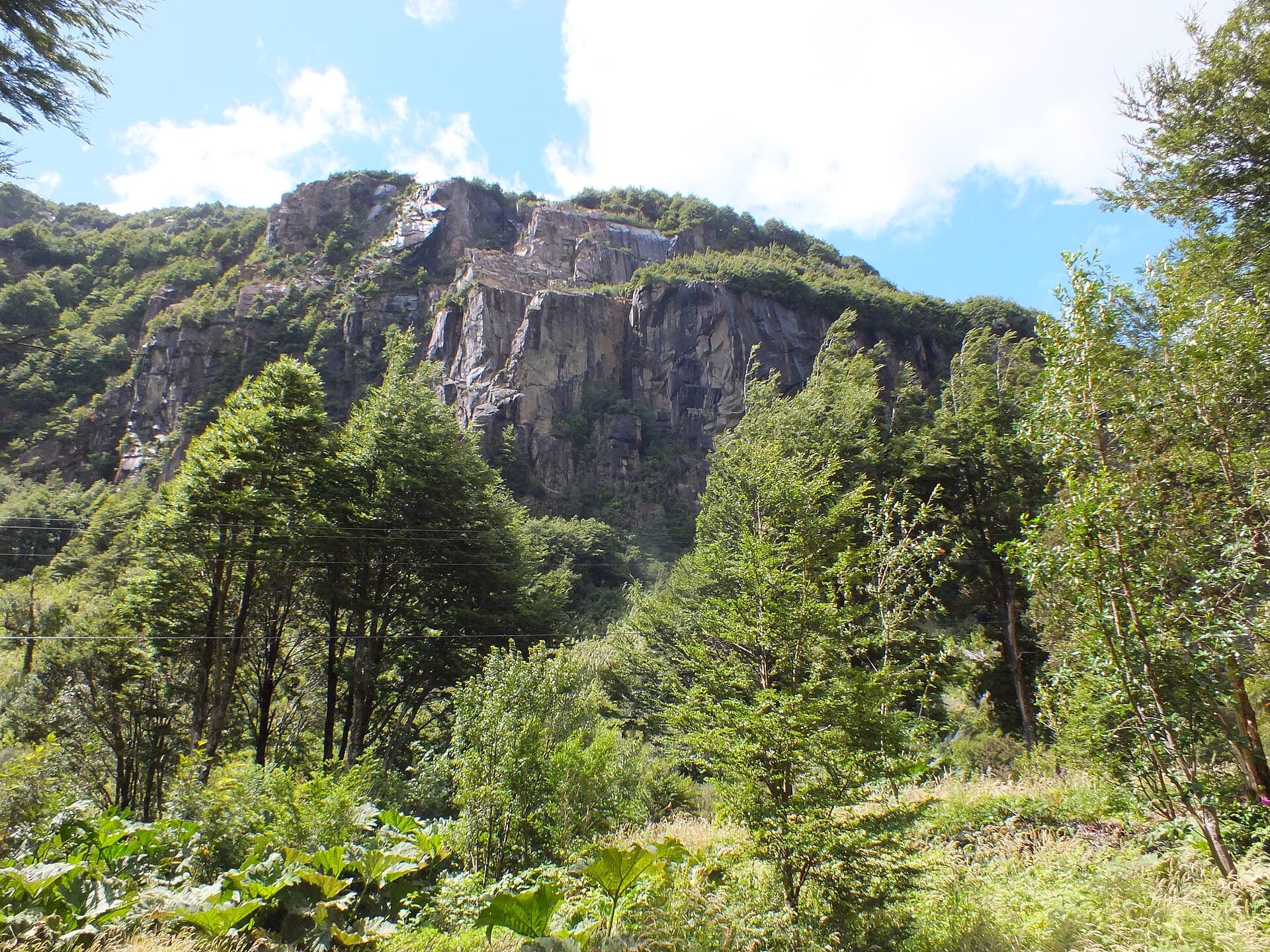 Reserva Nacional Río Simpson